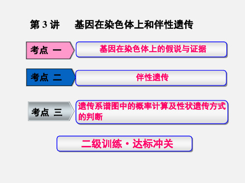 高考生物 一轮复习 遗传定律和伴性遗传 第3讲 基因染色体上和伴性遗传(必修2)