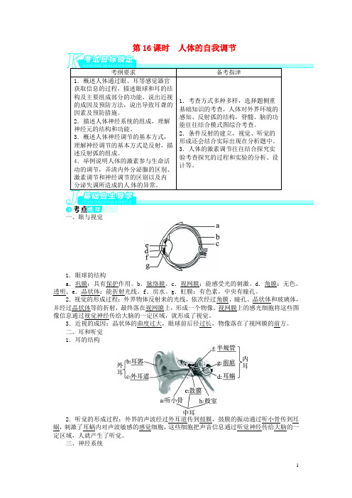 中考生物总复习 第16讲 人体的自我调节(基础讲练+锁定考试目标+导学必备知识+探究重难方法)(解析