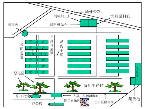 各大猪场平面设计图ppt课件