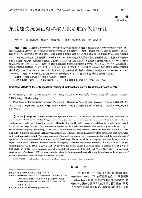 莱菔硫烷抗凋亡对移植大鼠心脏的保护作用