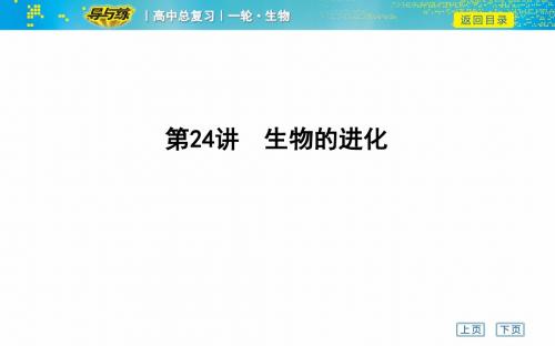 高2020届高2017级一轮复习人教版生物复习资料第24讲 生物的进化