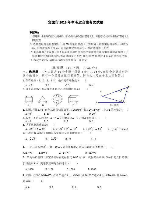 宜城市中考适应性考试数学试卷