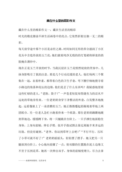 藏在什么里的精彩作文