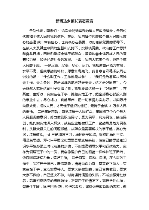 新当选乡镇长表态发言