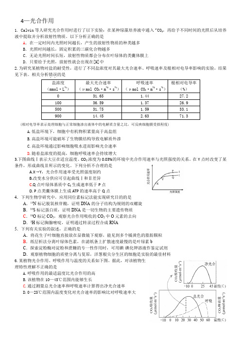 4—光合作用