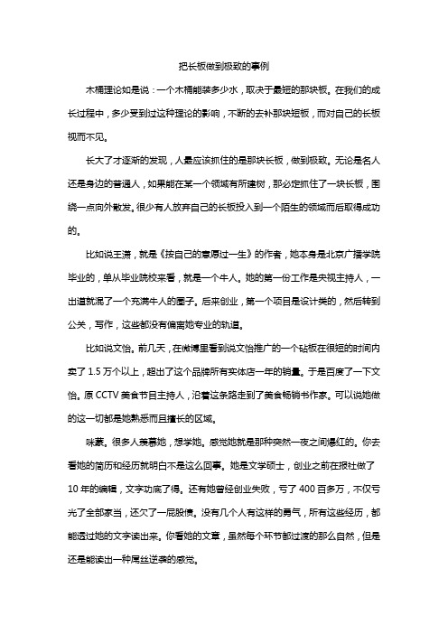 把长板做到极致的事例