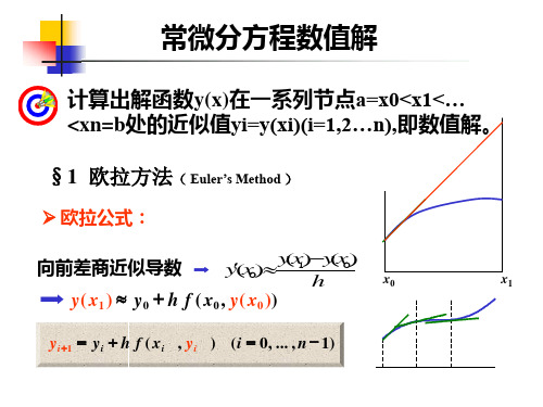 欧拉公式求解常微分方程数值解培训教材