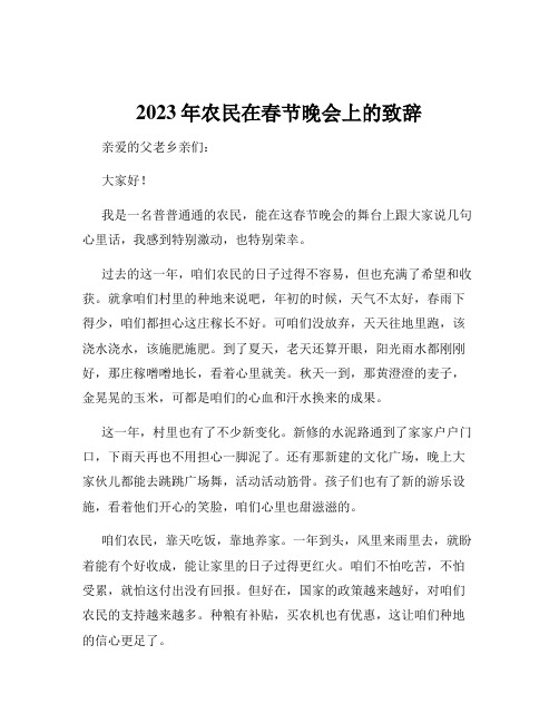 2023年农民在春节晚会上的致辞