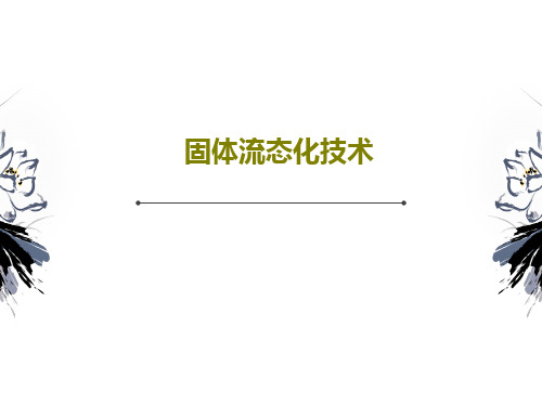 固体流态化技术PPT文档21页