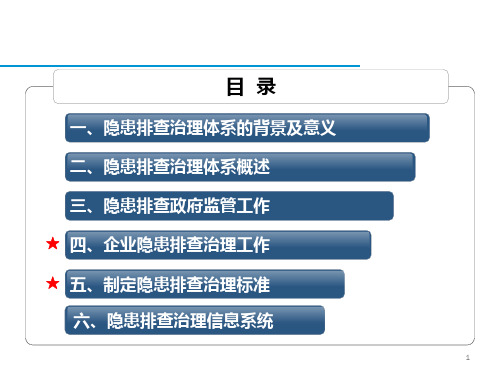 隐患排查治理体系