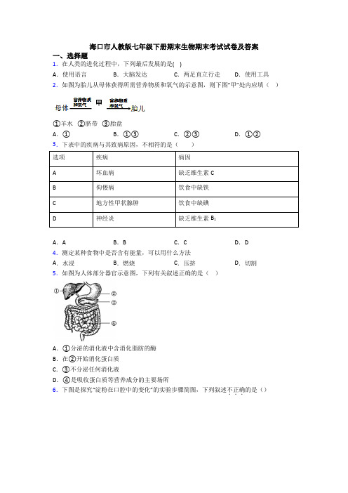 海口市人教版七年级下册期末生物期末考试试卷及答案