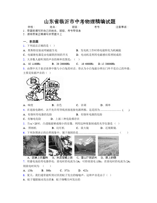 最新山东省临沂市中考物理精编试题及解析