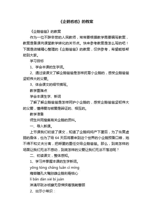 《企鹅爸爸》的教案