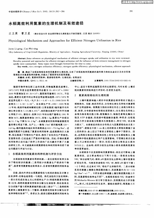 水稻高效利用氮素的生理机制及有效途径