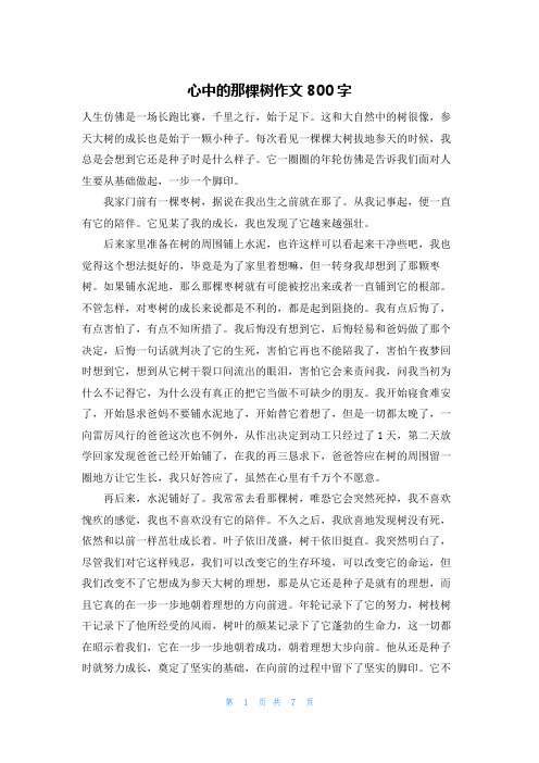 心中的那棵树作文800字