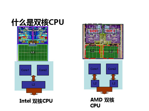 双核CPU示意图