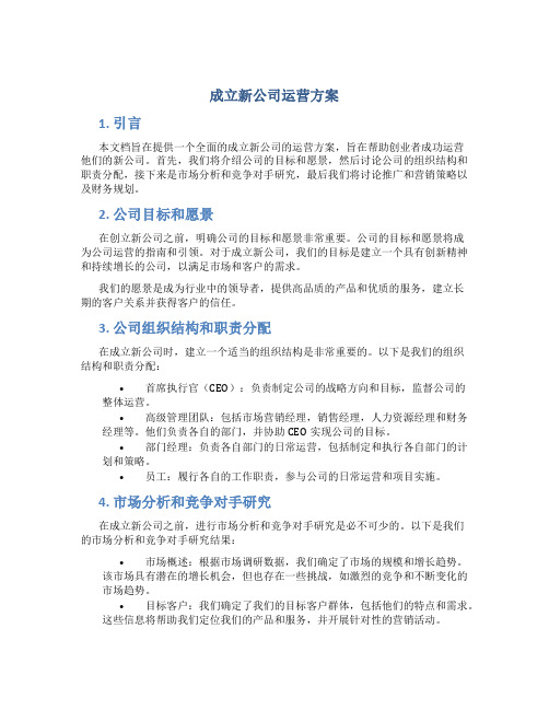 成立新公司运营方案