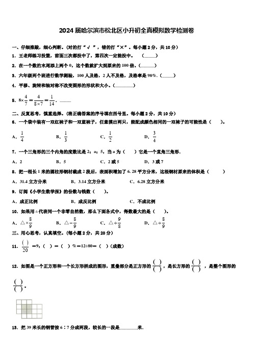 2024届哈尔滨市松北区小升初全真模拟数学检测卷含解析