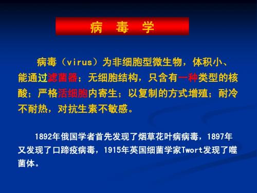 医学微生物学第23章 病毒的基本性状