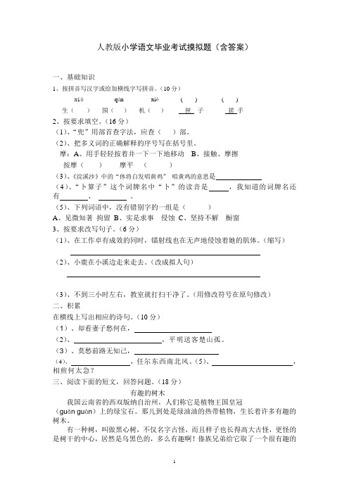 人教版小学语文毕业模拟试题(含答案).doc2