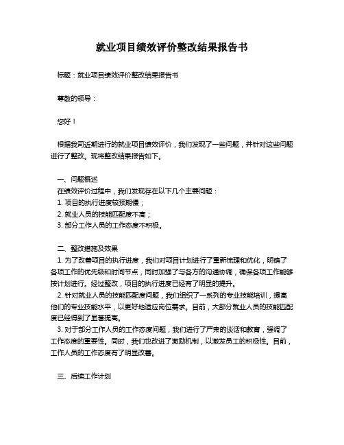 就业项目绩效评价整改结果报告书