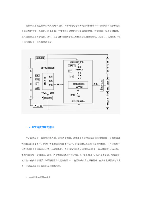 凝血机制