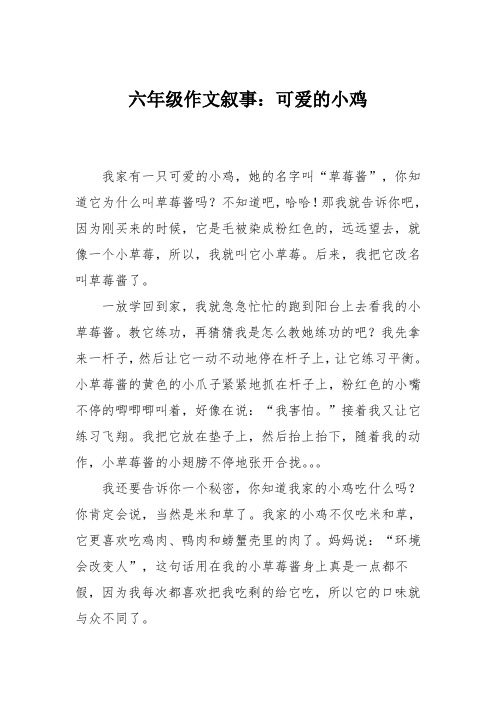 六年级作文叙事：可爱的小鸡
