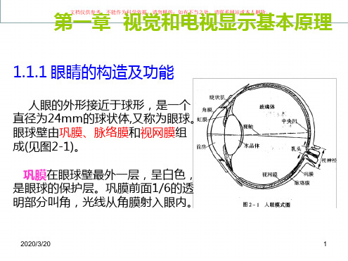 视觉生理学和彩色显示原理课件