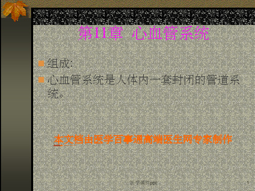 心血管系统解剖学(1)