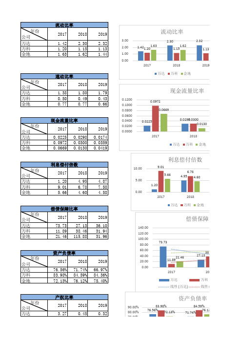 万达财务报表分析