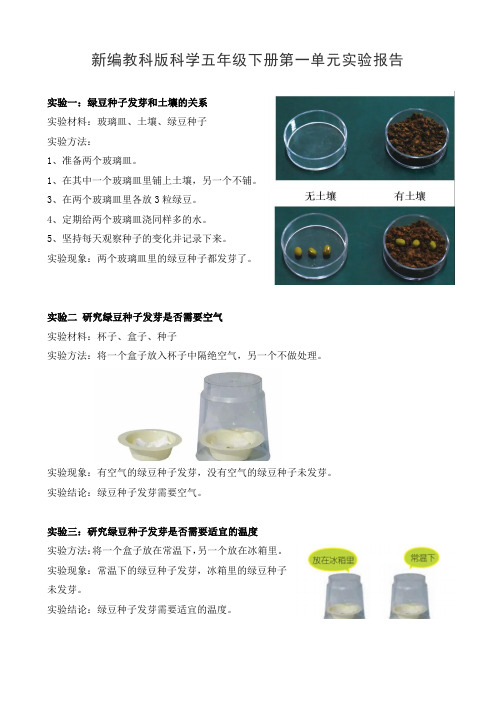 新编教科版科学五年级下册第一单元实验报告