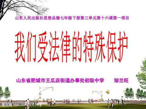 我们受法律特殊保护