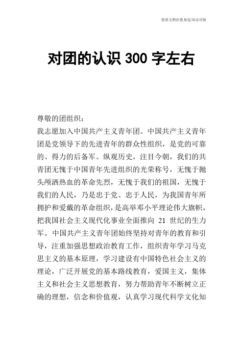 对团的认识300字左右