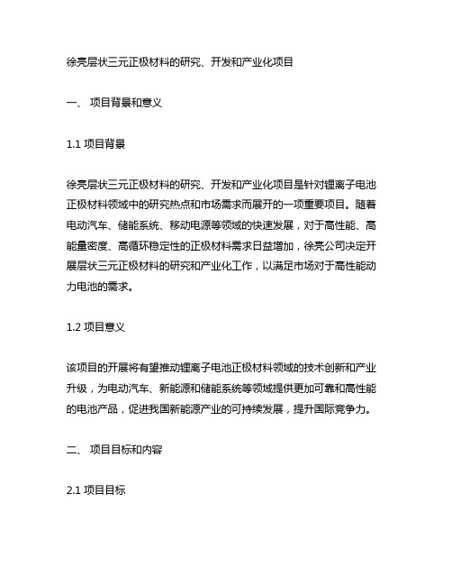 徐亮 层状三元正极材料的研究、开发和产业化项目