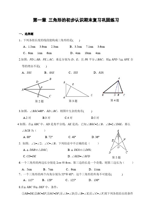 三角形的初步认识期末复习巩固练习含答案