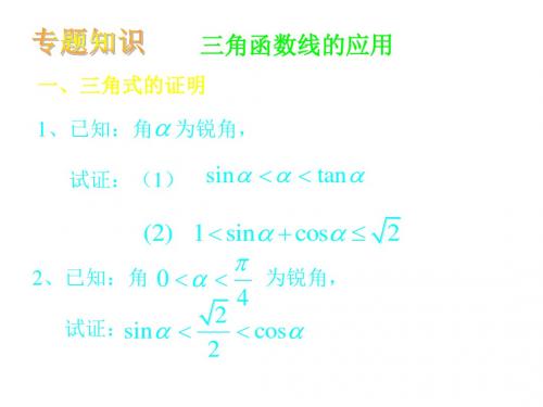 三角函数线的应用