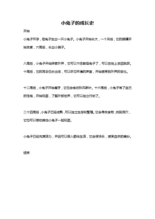 小兔子的成长史