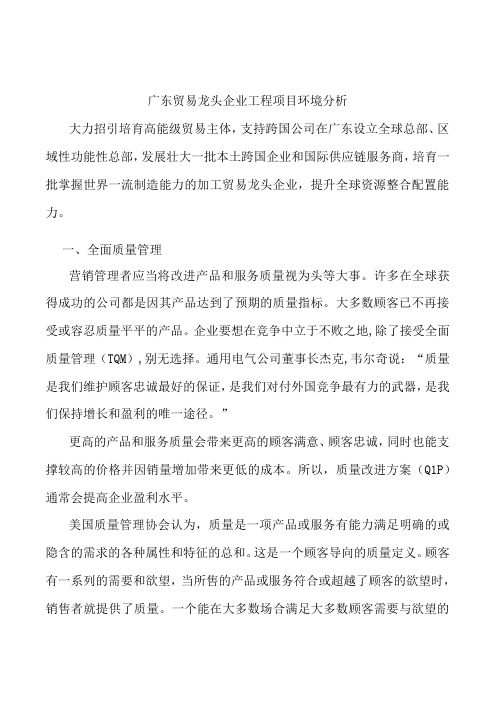 广东贸易龙头企业工程项目环境分析