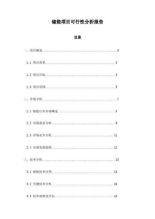 储能项目可行性分析报告