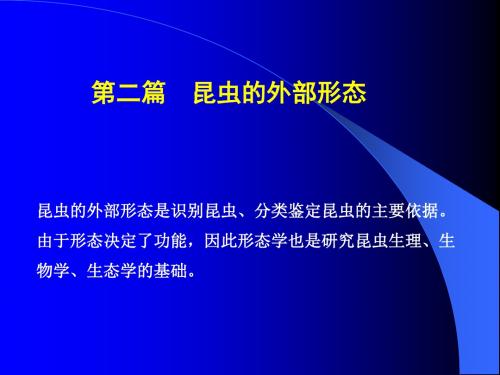 第二篇、昆虫的外部形态定