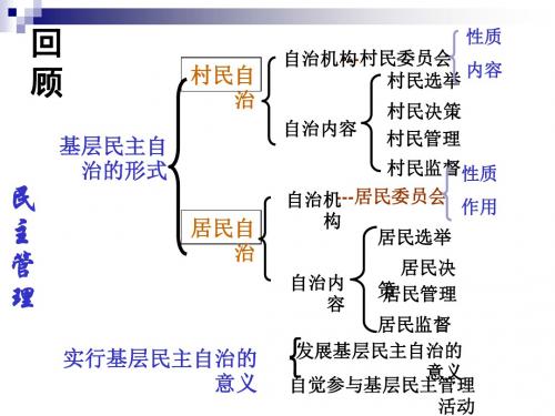 人教版必修2   2.4民主监督：守望公共家园课件(23张)