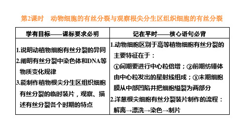 人教版必修一动物细胞的有丝分裂与观察根尖分生区组织细胞的有丝分裂课件(51张)