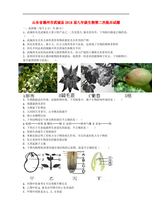 山东省德州市武城县届九年级生物第二次练兵试题