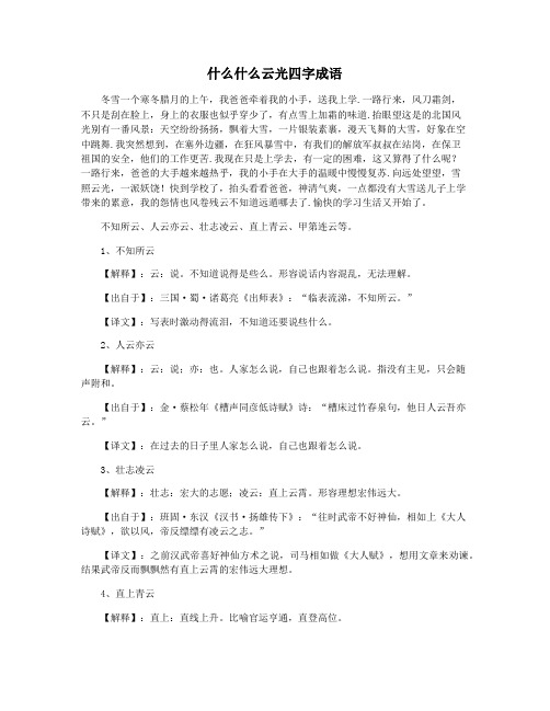 什么什么云光四字成语