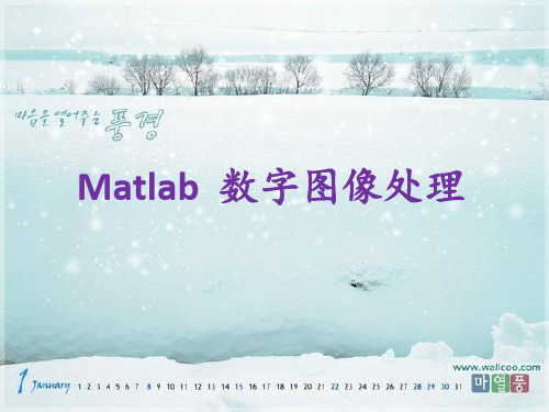 数学建模之Matlab图像处理 ppt课件