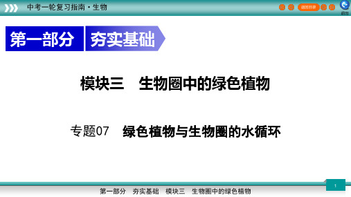 专题07 绿色植物与生物圈的水循环 新课标中考生物一轮复习精讲课件