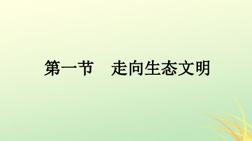 广西专版新教材高中地理第4章保障国家安全的资源环境战略与行动第1节走向生态文明课件新人教版选择性必修