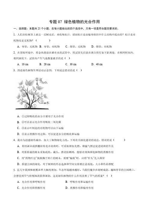 专题07 绿色植物的光合作用(原卷版)-2024年中考生物一轮复习热点专题精练