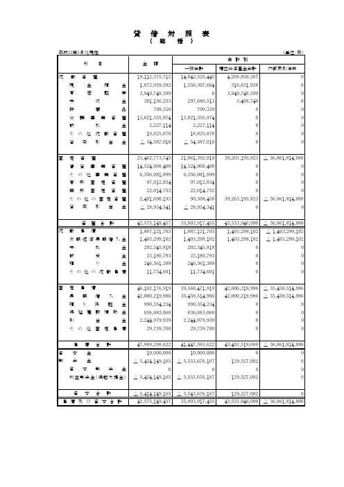 贷 借 対 照 表 ( 総 括 )