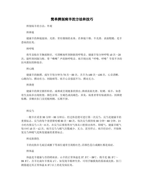 简单辨别病羊的方法和技巧